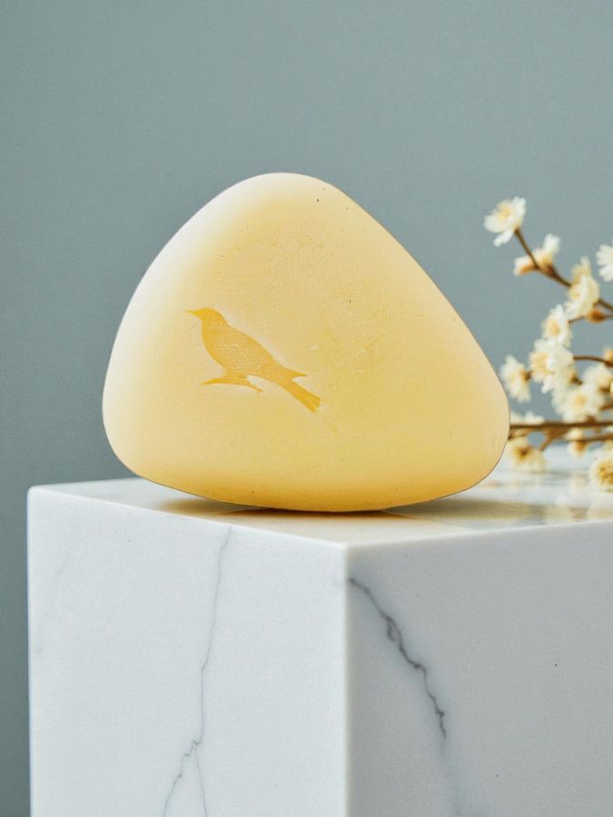 Après-shampoing solide démêlant et nourrissant | HORIZON