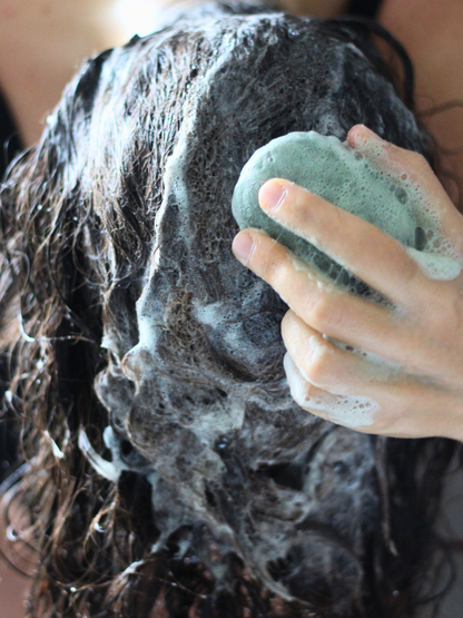 Shampoing solide à la spiruline | Universel | NEPTUNE